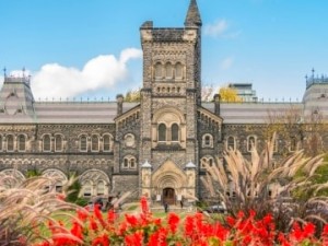 Программы трансферы (University Transfer)
